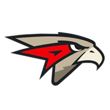 Омские Ястребы